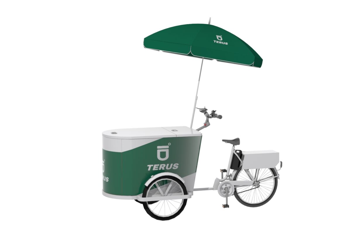 Gerobak sepeda listrik type mtb Terus 3