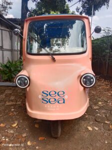 Mini food truck Type MFT 003