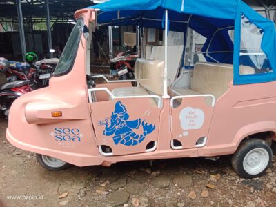 Mini food truck Type MFT 003